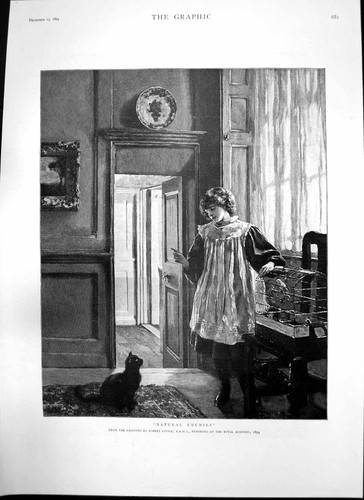 Old antique print natural - print,