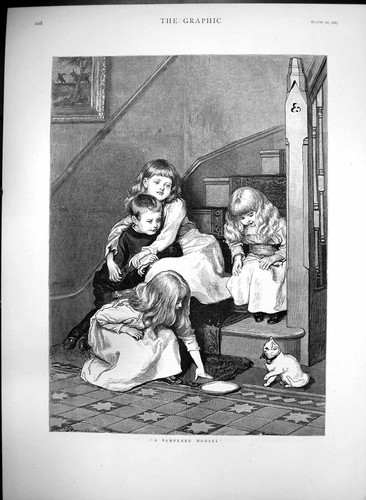 Antique old print pampered - antique,