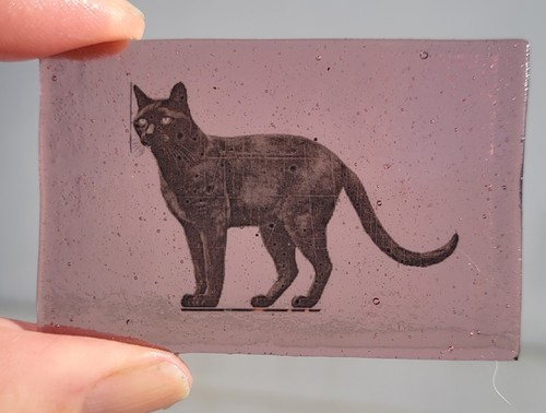 Stained glass black cat - stained,