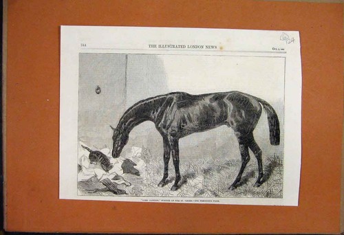 Original old antique print - original,