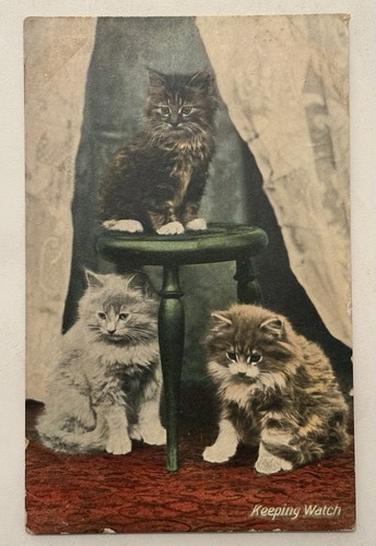Antique cat postcard - antique,