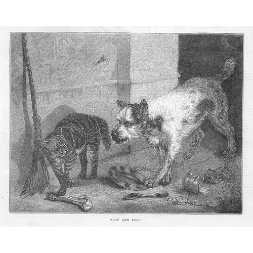 Cat and dog antique - and,