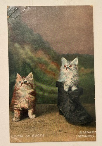 Antique cat postcard - cat, puss
