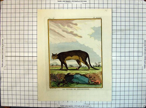 Original old antique print - original,