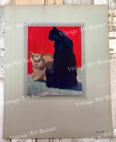 Horace brodzky domestic cats - horace,