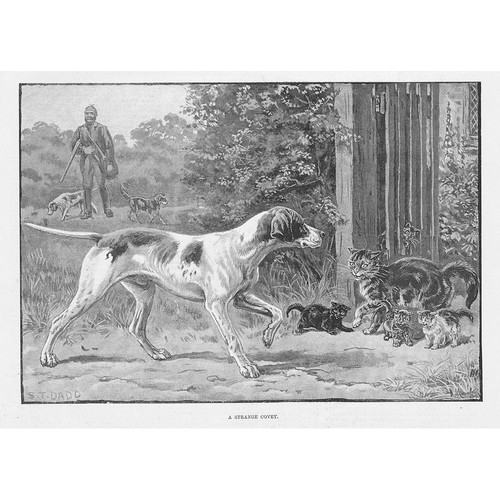 Dadd strange covey cats - a,