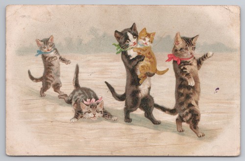 Postcard antique cat art four