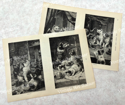 Cute cat kittens - cat, theme