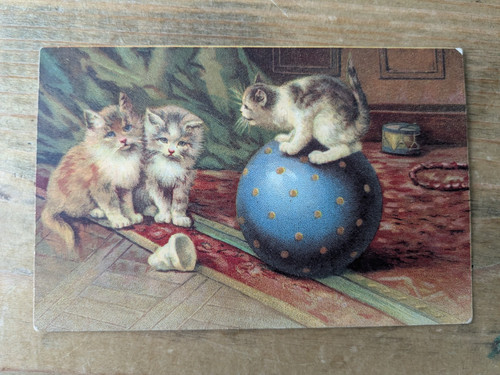 Antique german cat kittens - german,