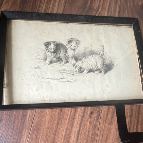Antique 19thc cat - antique,