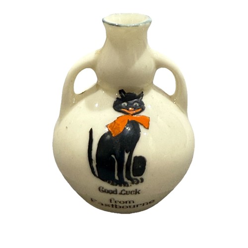 Crested black cat china - crested,