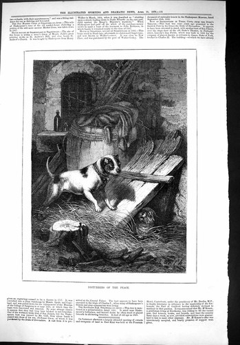Original old antique print - original,