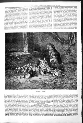 Original old antique print - old,