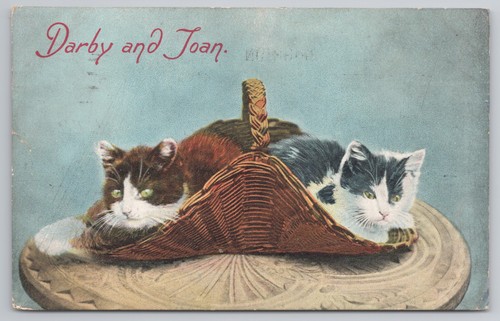 Postcard antique cat - darby, and