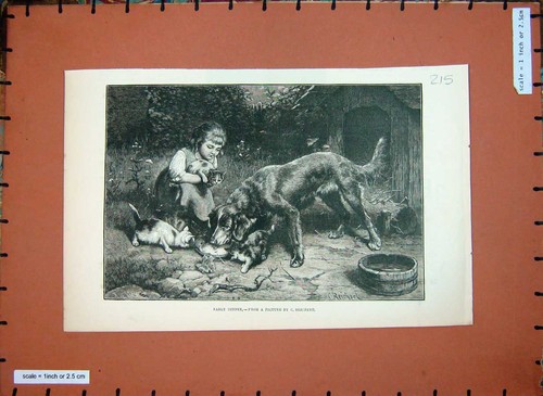 Old antique print - old,