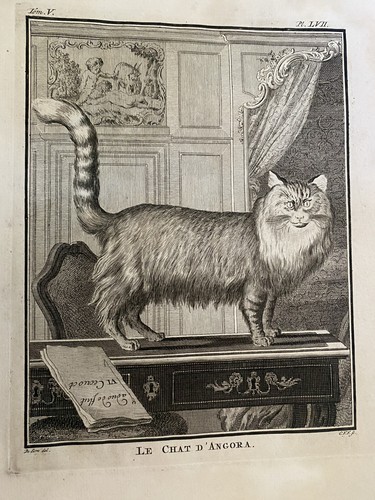 Antique eighteen century - eighteen,