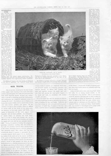 Original old antique print - antique,