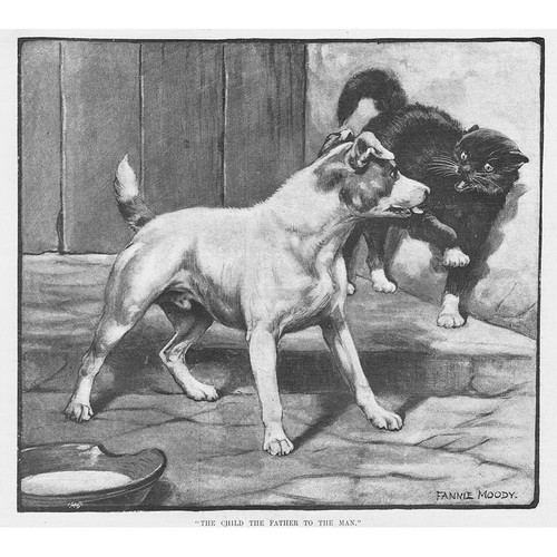 Cat dog the child - child, father