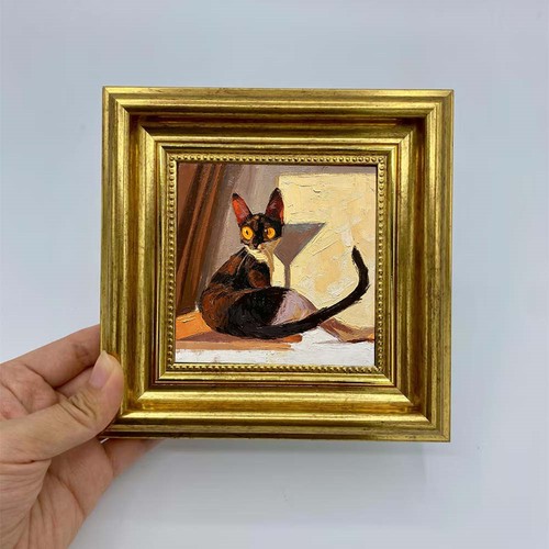 Tortoiseshell cat still - cat,