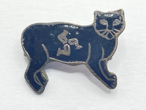 Antique 1920s lucky black cat - black,