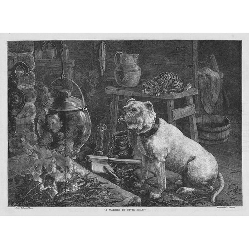 Louis wain watched pot never - louis,