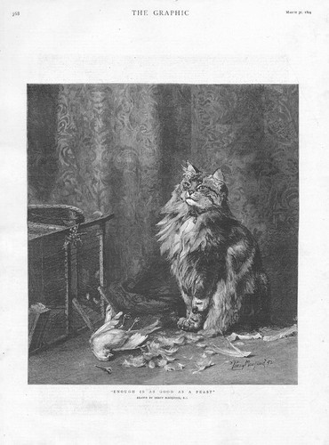 Cat with dead bird enough - enough, is