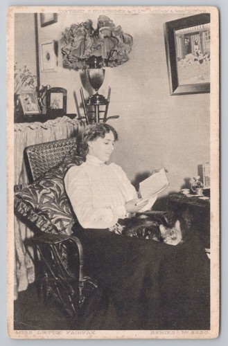 Postcard antique edwardian - postcard, cat