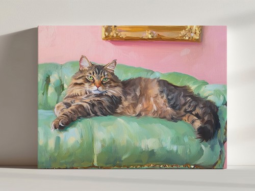 Long haired tabby cat - haired,