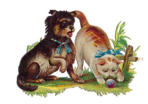 1888 chromo decoupis - 1888,