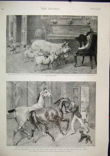 Original old antique print - old,