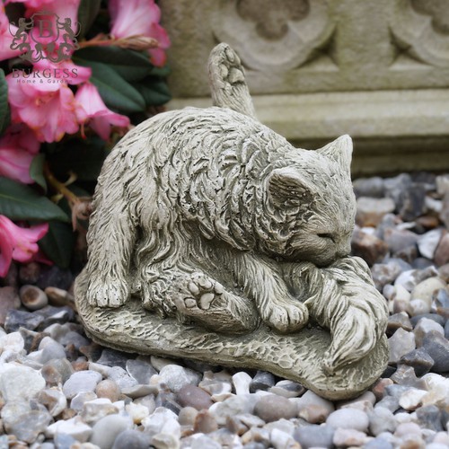 Washing cat stone - stone, |