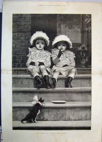 Dog cat two little girls - dog,
