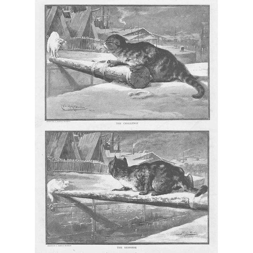 Victorian cats fighting - cats, by
