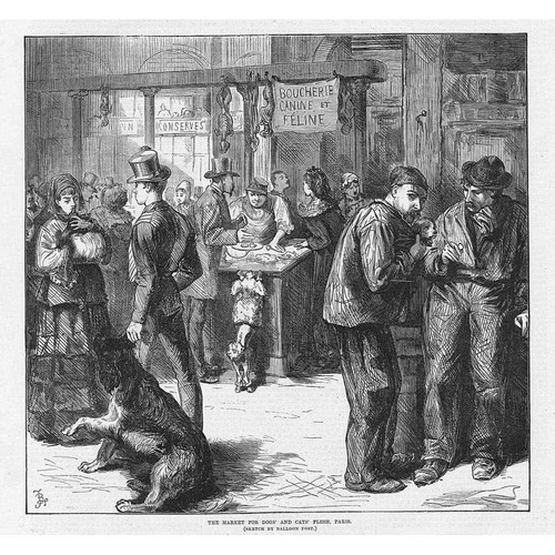Siege paris market for dogs - market,