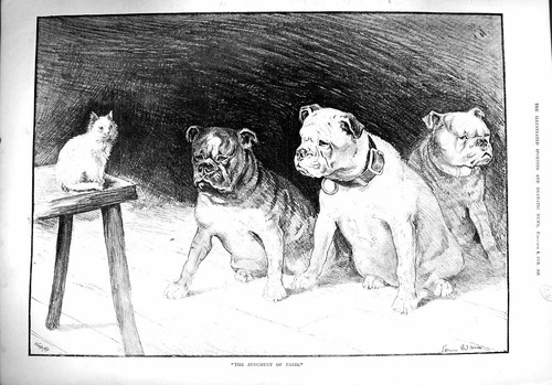 Old antique print 1890 - antique,