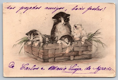 Five kittens cats basket - in,