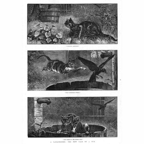 Cat chasing bird victorian - chasing,