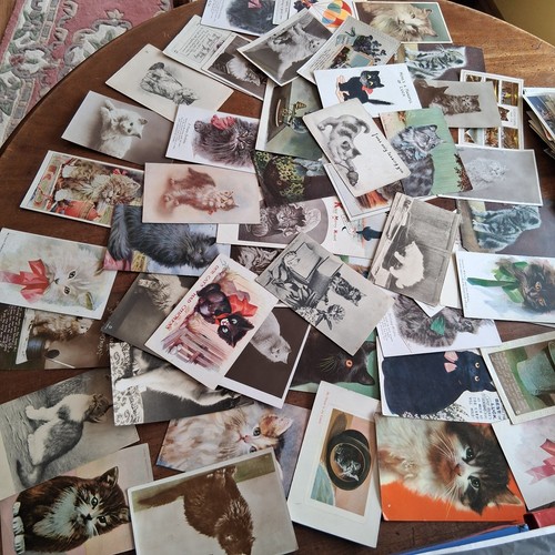 Antique postcards cat - 50, x