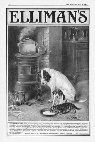 Elliman embrocation dogs - elliman's,